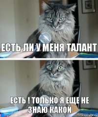 есть ли у меня талант ЕСТЬ ! ТОЛЬКО Я ЕЩЕ НЕ ЗНАЮ КАКОЙ