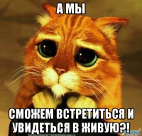 а мы сможем встретиться и увидеться в живую?!