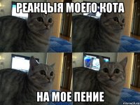 реакцыя моего кота на мое пение