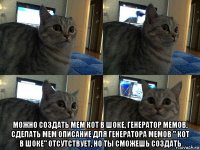 можно создать мем кот в шоке, генератор мемов, сделать мем описание для генератора мемов " кот в шоке" отсутствует, но ты сможешь создать