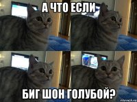 а что если биг шон голубой?