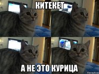 китекет а не это курица