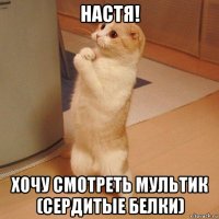 настя! хочу смотреть мультик (сердитые белки)