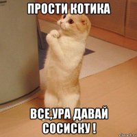 прости котика все,ура давай сосиску !