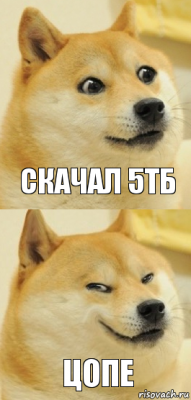 Скачал 5тб Цопе