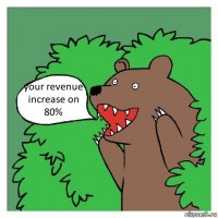 your revenue increase on 80%