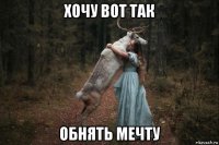 хочу вот так обнять мечту