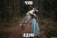 чую вдую