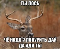 ты лось чё надо ? покурить дай да иди ты