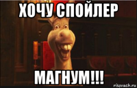 хочу спойлер магнум!!!