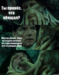 Ты принёс, что обещал? Мистер Джонс, Лера не отдала котёнка, его зарезервировал кто-то раньше меня 