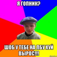 я гопник? шоб у тебе на лбу хуй вырос!!!