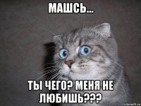 машсь... ты чего? меня не любишь???