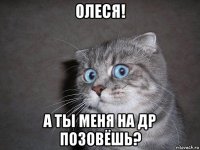 олеся! а ты меня на др позовёшь?