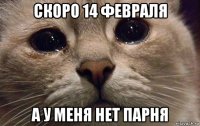 скоро 14 февраля а у меня нет парня