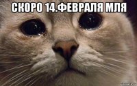 скоро 14.февраля мля 