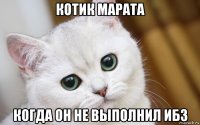 котик марата когда он не выполнил ибз