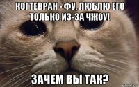 когтевран - фу, люблю его только из-за чжоу! зачем вы так?