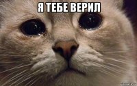 я тебе верил 