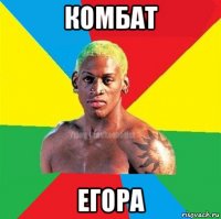 комбат егора