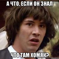 а что, если он знал что там хомяк?