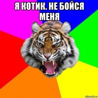 я котик. не бойся меня 