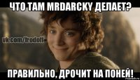 что там mrdarcky делает? правильно, дрочит на поней!