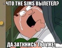 - что the sims вылетел? да заткнись ты уже!