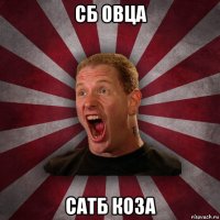 сб овца сатб коза