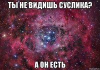 ты не видишь суслика? а он есть