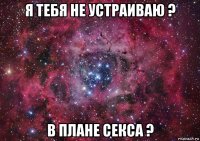 я тебя не устраиваю ? в плане секса ?