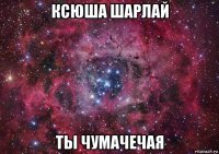 ксюша шарлай ты чумачечая