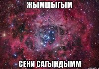 жымшыгым сени сагындымм