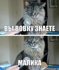 вы Вовку знаете малика