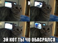 и эй кот ты чо обасрался