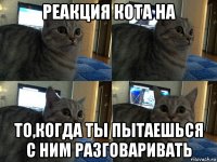 реакция кота на то,когда ты пытаешься с ним разговаривать