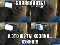 бляяяяяять! а это же ты хозяин... хуйня!!!