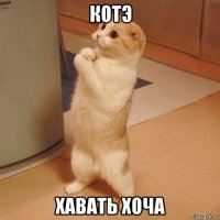 котэ хавать хоча