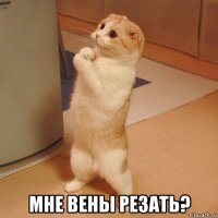  мне вены резать?