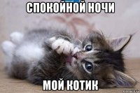 спокойной ночи мой котик