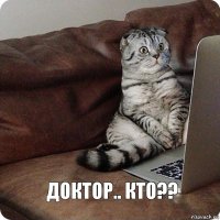 доктор.. кто??