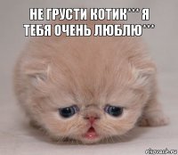 Не грусти котик*** Я тебя очень люблю***