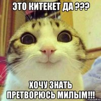 это китекет да ??? хочу знать претворюсь милым!!!