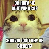 эй,нига чё вылупился? живую скотину не видел?