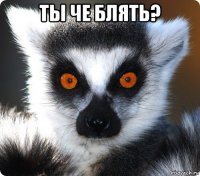 ты че блять? 