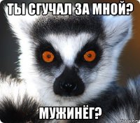 ты сгучал за мной? мужинёг?