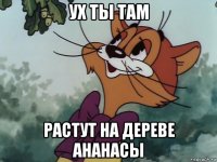 ух ты там растут на дереве ананасы