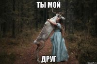 ты мой друг