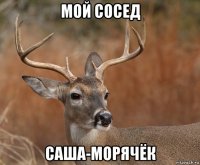 мой сосед саша-морячёк