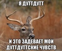 я дуттдутт и это задевает мои дуттдуттские чувств